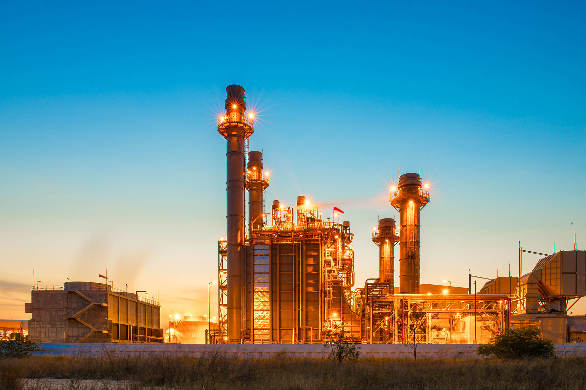 2019 Yaz Fuarımızdan Kareler